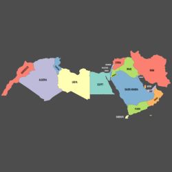 Middle East and North Africa eSIM