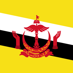 Brunei eSIM